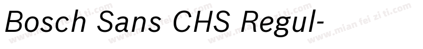 Bosch Sans CHS Regul字体转换